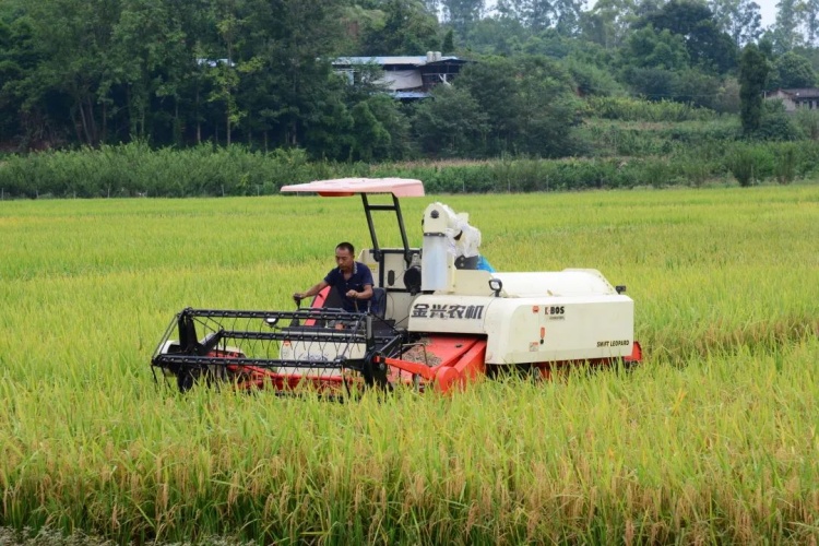 1763103564189472.jpg 照片1_副本.jpg