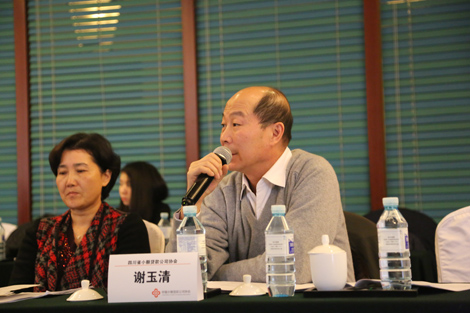 谢玉清常务副会长赴北京参加中国小额贷款公司协会地方协会专门委员会